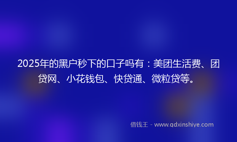 2025年的黑户秒下的口子吗有：美团生活费、团贷网、小花钱包、快贷通、微粒贷等。