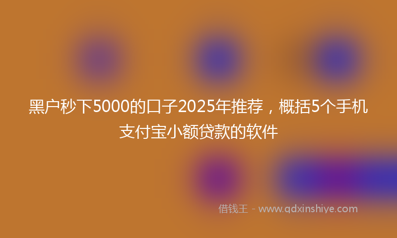黑户秒下5000的口子2025年推荐，概括5个手机支付宝小额贷款的软件