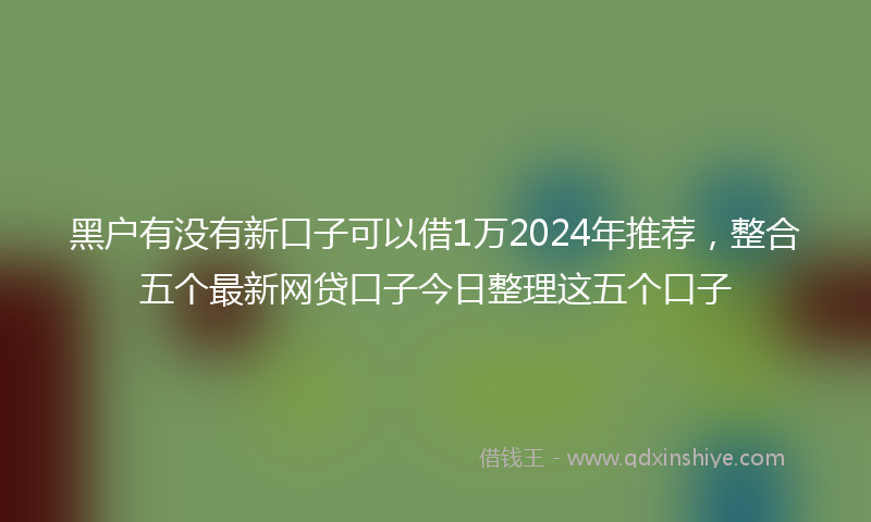 黑户有没有新口子可以借1万2024年推荐，整合五个最新网贷口子今日整理这五个口子