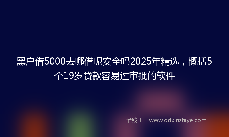 黑户借5000去哪借呢安全吗2025年精选，概括5个19岁贷款容易过审批的软件
