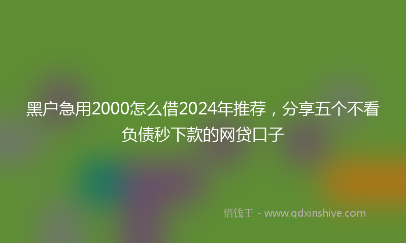 黑户急用2000怎么借2024年推荐，分享五个不看负债秒下款的网贷口子
