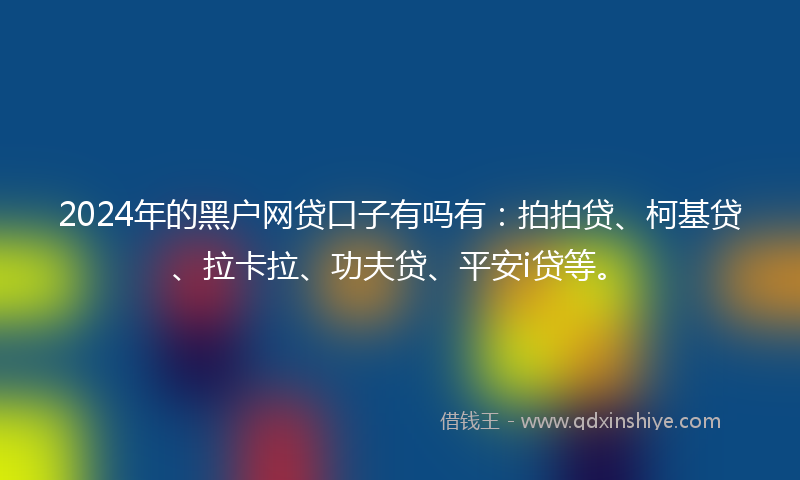 2024年的黑户网贷口子有吗有：拍拍贷、柯基贷、拉卡拉、功夫贷、平安i贷等。