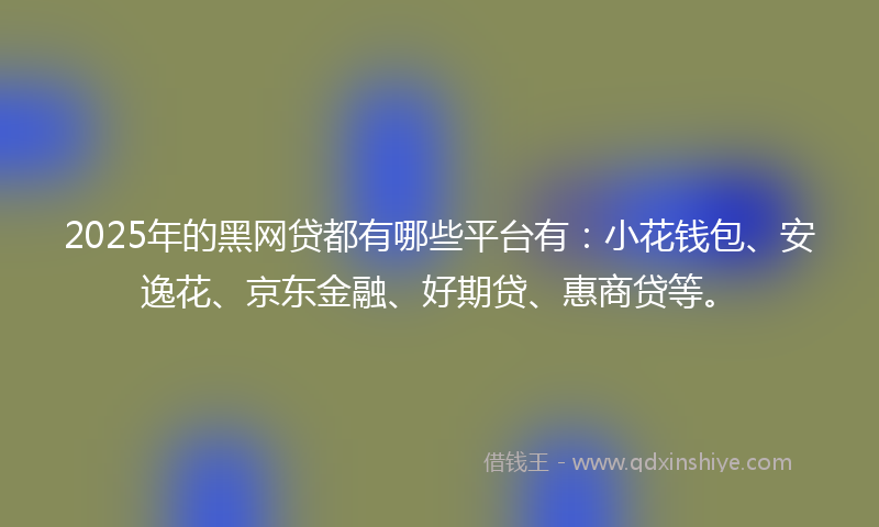 2025年的黑网贷都有哪些平台有：小花钱包、安逸花、京东金融、好期贷、惠商贷等。