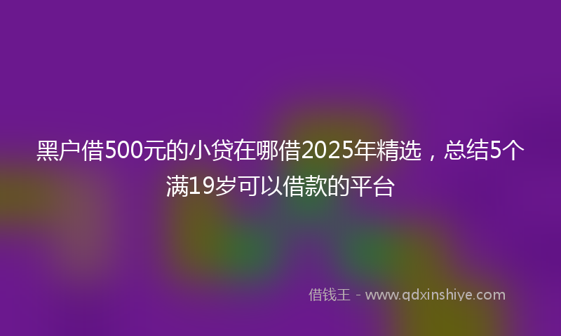 黑户借500元的小贷在哪借2025年精选，总结5个满19岁可以借款的平台