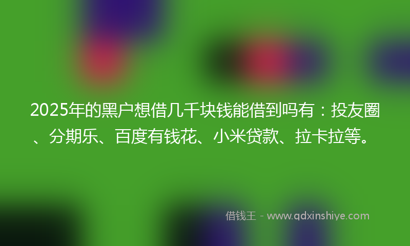 2025年的黑户想借几千块钱能借到吗有：投友圈、分期乐、百度有钱花、小米贷款、拉卡拉等。