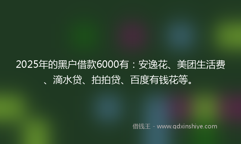 2025年的黑户借款6000有：安逸花、美团生活费、滴水贷、拍拍贷、百度有钱花等。