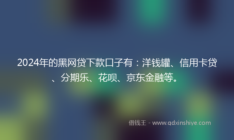 2024年的黑网贷下款口子有：洋钱罐、信用卡贷、分期乐、花呗、京东金融等。