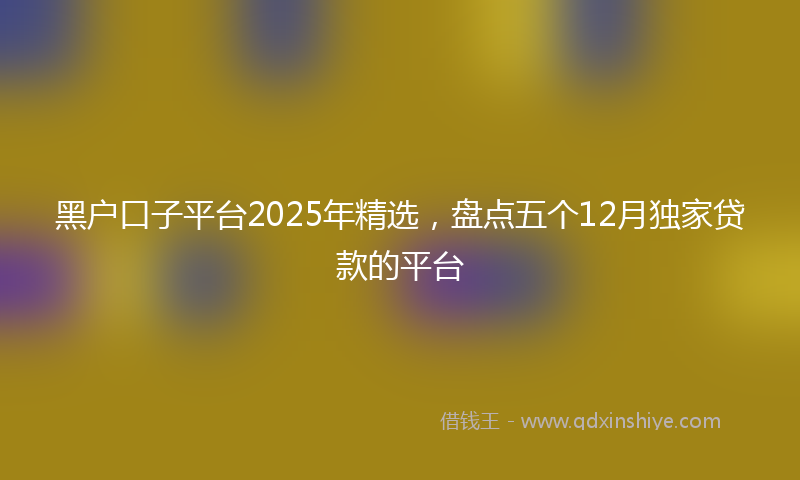 黑户口子平台2025年精选，盘点五个12月独家贷款的平台