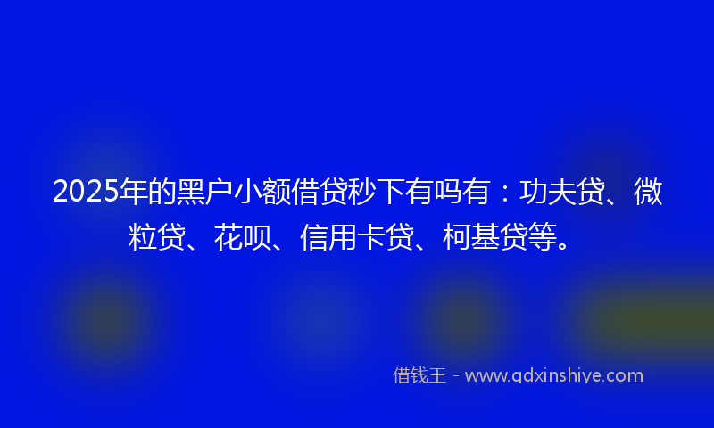 2025年的黑户小额借贷秒下有吗有：功夫贷、微粒贷、花呗、信用卡贷、柯基贷等。