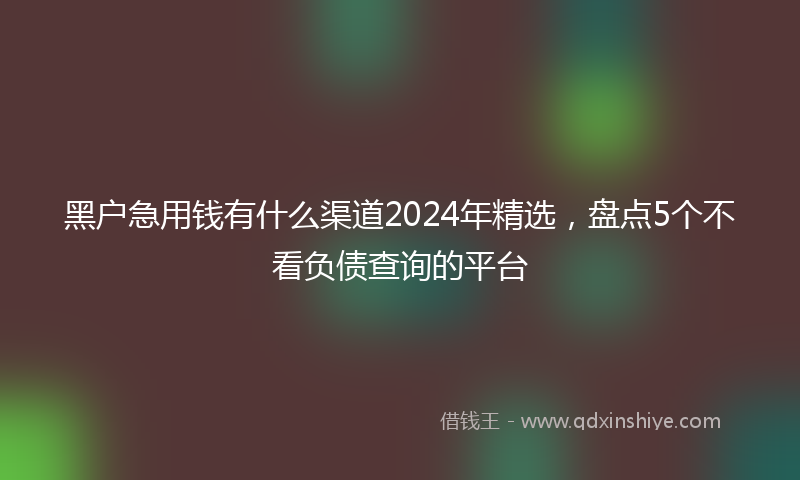 黑户急用钱有什么渠道2024年精选，盘点5个不看负债查询的平台