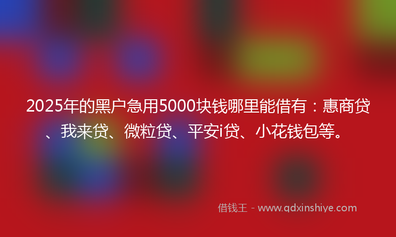 2025年的黑户急用5000块钱哪里能借有:惠商贷、我来贷、微粒贷、平安i贷、小花钱包等。