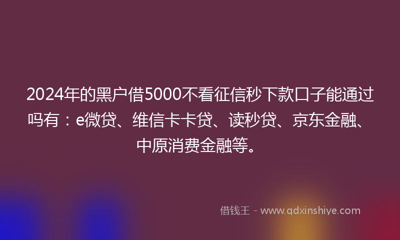 2024年的黑户借5000不看征信秒下款口子能通过吗有：e微贷、维信卡卡贷、读秒贷、京东金融、中原消费金融等。