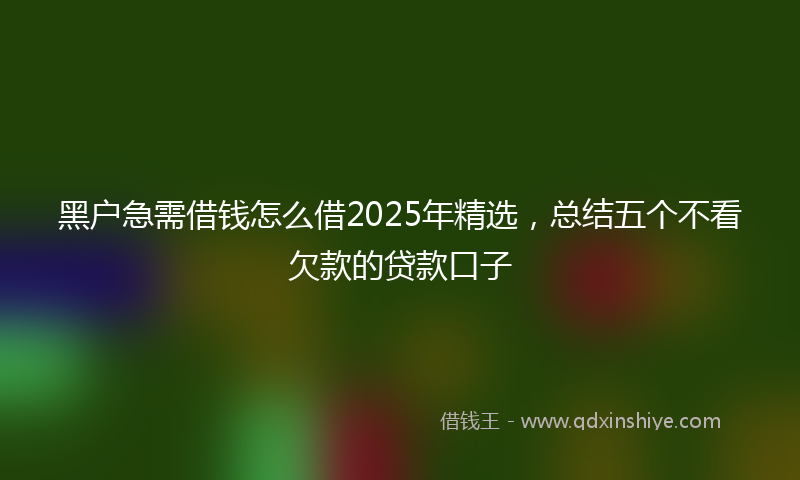 黑户急需借钱怎么借2025年精选，总结五个不看欠款的贷款口子
