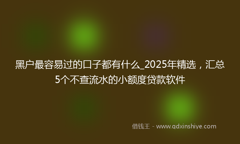 黑户最容易过的口子都有什么_2025年精选，汇总5个不查流水的小额度贷款软件