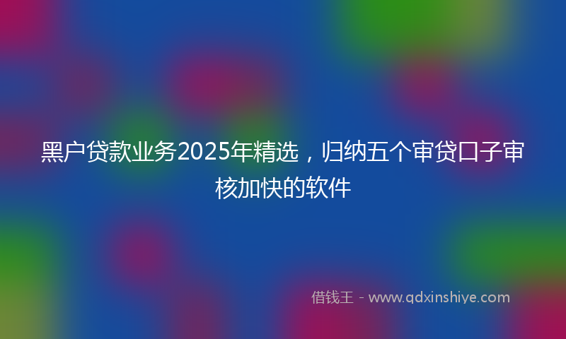 黑户贷款业务2025年精选，归纳五个审贷口子审核加快的软件