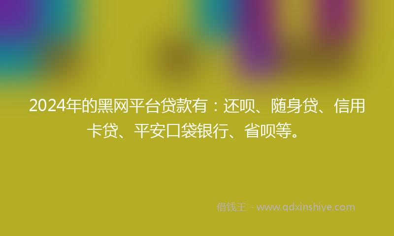 2024年的黑网平台贷款有：还呗、随身贷、信用卡贷、平安口袋银行、省呗等。
