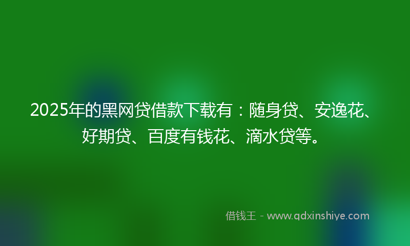 2025年的黑网贷借款下载有：随身贷、安逸花、好期贷、百度有钱花、滴水贷等。