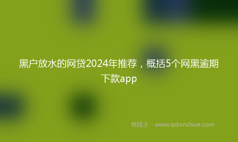 黑户放水的网贷2024年推荐，概括5个网黑逾期下款app