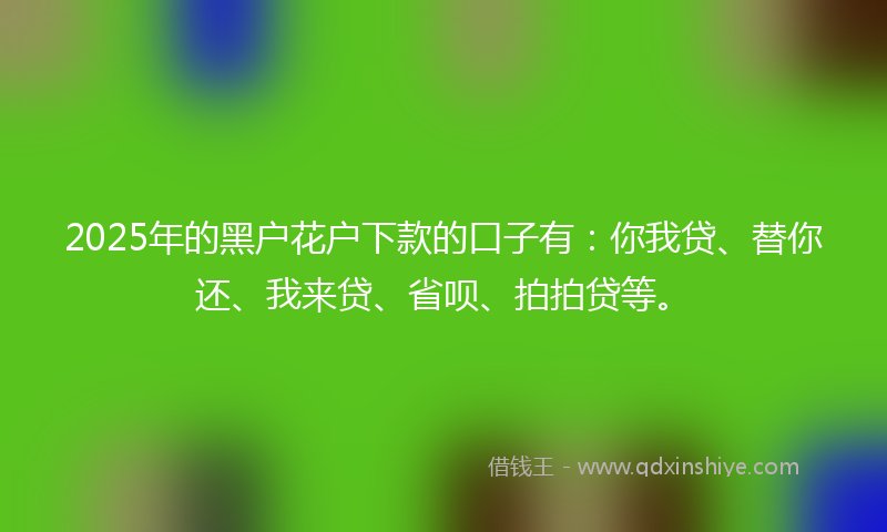 2025年的黑户花户下款的口子有：你我贷、替你还、我来贷、省呗、拍拍贷等。