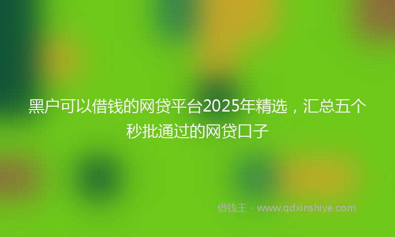 黑户可以借钱的网贷平台2025年精选，汇总五个秒批通过的网贷口子