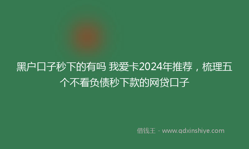 黑户口子秒下的有吗 我爱卡2024年推荐，梳理五个不看负债秒下款的网贷口子