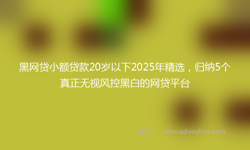 黑网贷小额贷款20岁以下2025年精选，归纳5个真正无视风控黑白的网贷平台