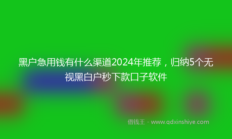 黑户急用钱有什么渠道2024年推荐，归纳5个无视黑白户秒下款口子软件