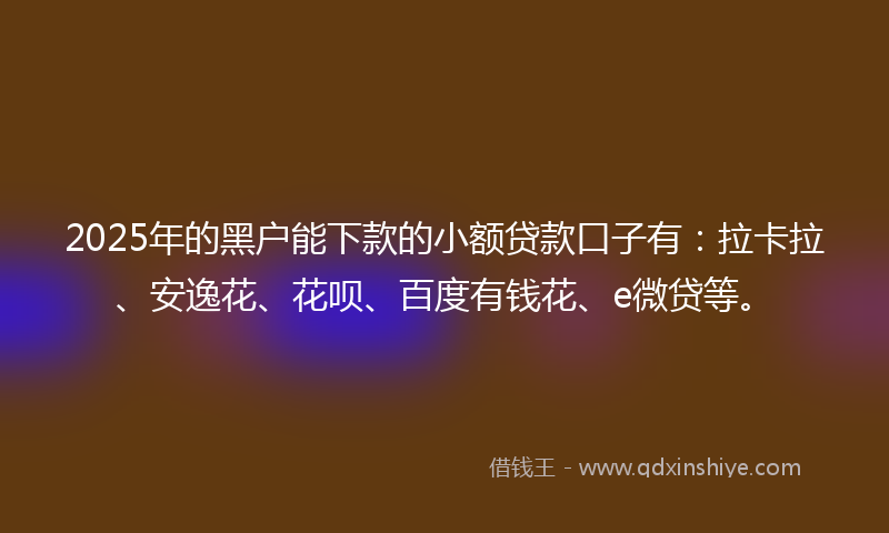 2025年的黑户能下款的小额贷款口子有：拉卡拉、安逸花、花呗、百度有钱花、e微贷等。