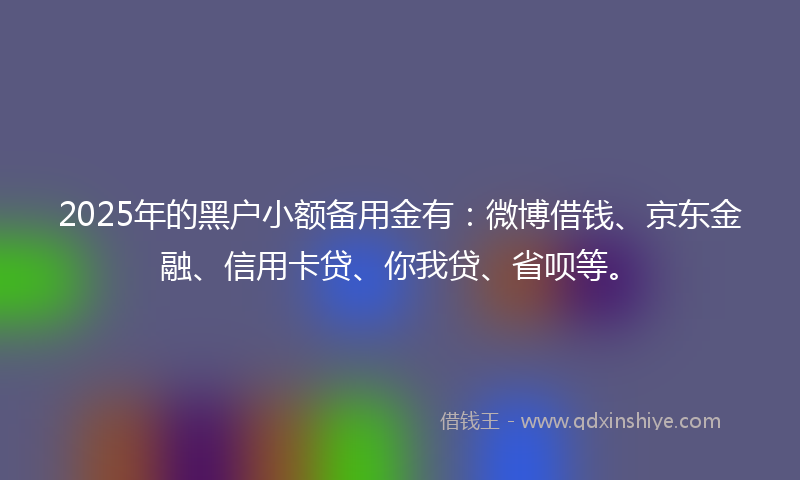 2025年的黑户小额备用金有：微博借钱、京东金融、信用卡贷、你我贷、省呗等。