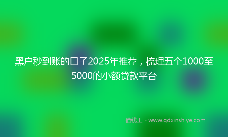 黑户秒到账的口子2025年推荐，梳理五个1000至5000的小额贷款平台