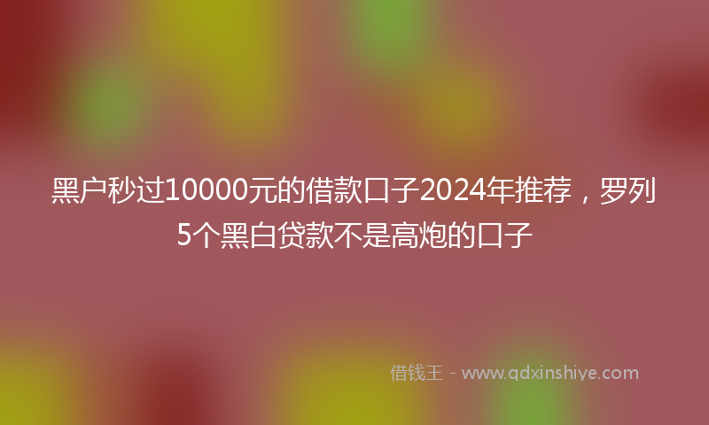 黑户秒过10000元的借款口子2024年推荐，罗列5个黑白贷款不是高炮的口子