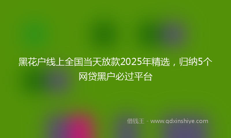 黑花户线上全国当天放款2025年精选，归纳5个网贷黑户必过平台