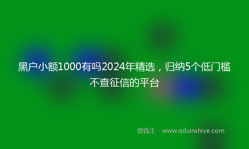 黑户小额1000有吗2024年精选，归纳5个低门槛不查征信的平台