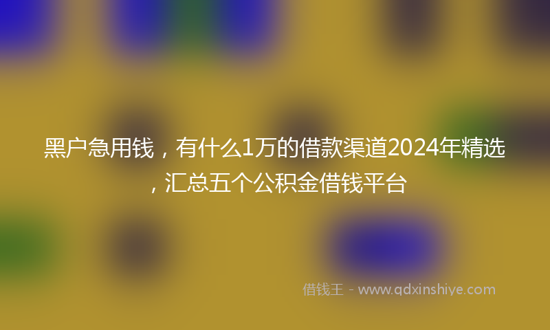 黑户急用钱，有什么1万的借款渠道2024年精选，汇总五个公积金借钱平台