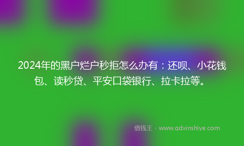 2024年的黑户烂户秒拒怎么办有：还呗、小花钱包、读秒贷、平安口袋银行、拉卡拉等。