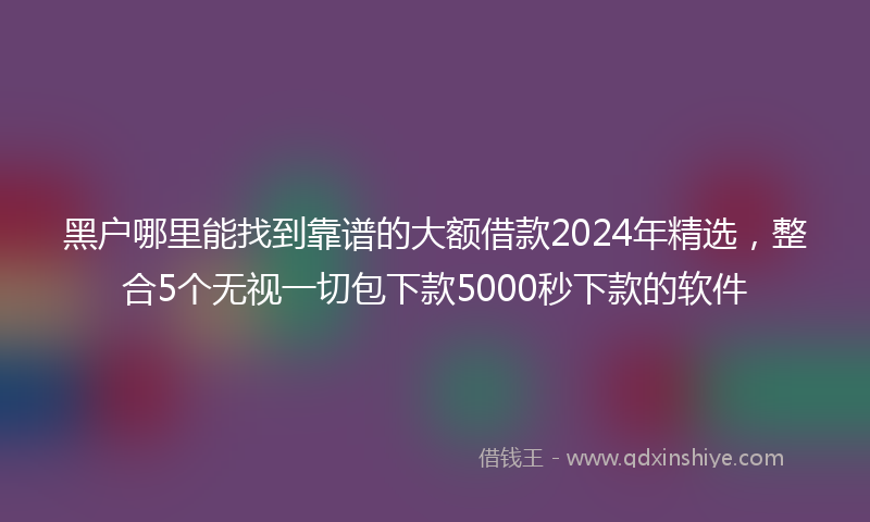 黑户哪里能找到靠谱的大额借款2024年精选，整合5个无视一切包下款5000秒下款的软件
