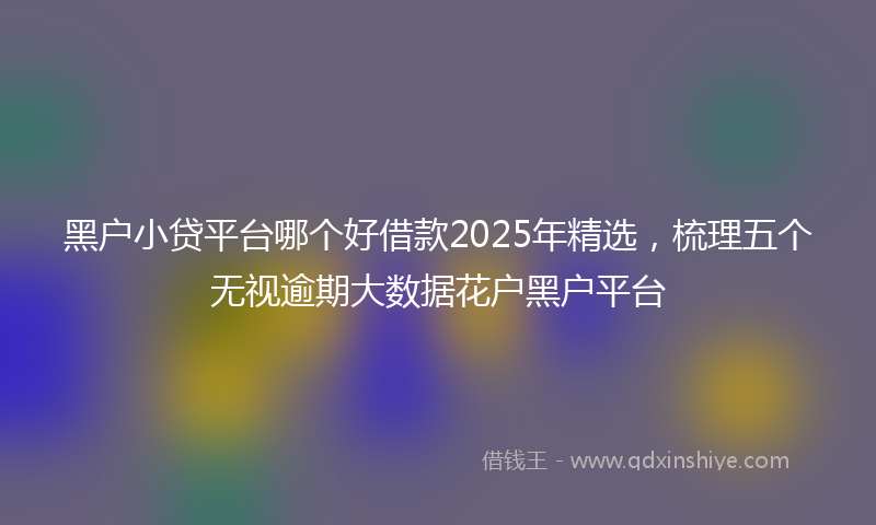 黑户小贷平台哪个好借款2025年精选，梳理五个无视逾期大数据花户黑户平台