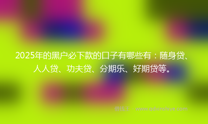 2025年的黑户必下款的口子有哪些有：随身贷、人人贷、功夫贷、分期乐、好期贷等。