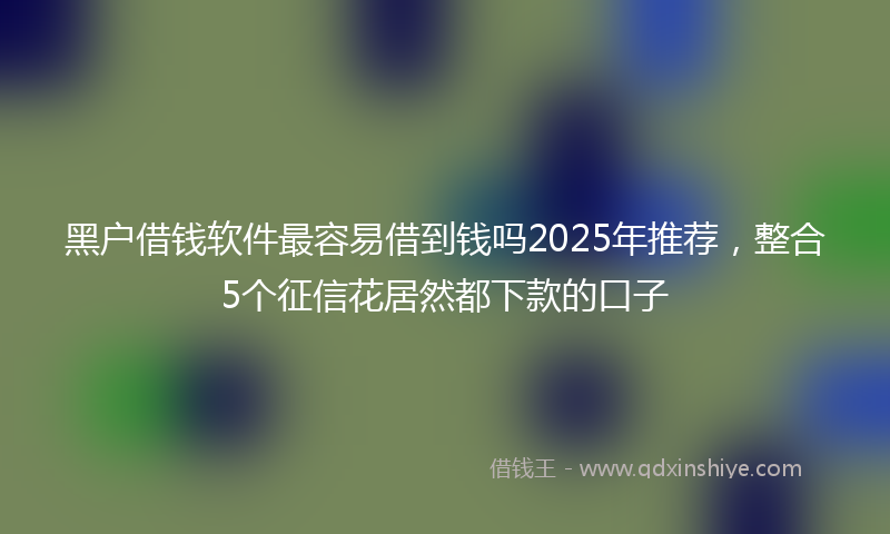 黑户借钱软件最容易借到钱吗2025年推荐，整合5个征信花居然都下款的口子