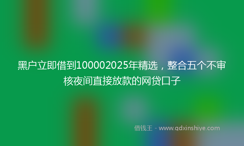 黑户立即借到100002025年精选，整合五个不审核夜间直接放款的网贷口子