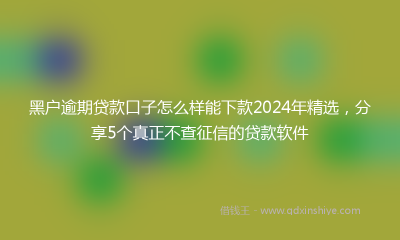 黑户逾期贷款口子怎么样能下款2024年精选，分享5个真正不查征信的贷款软件