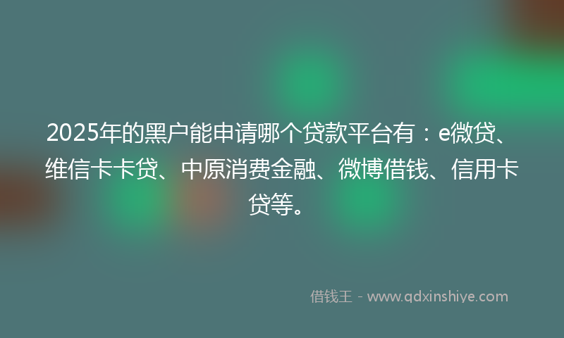 2025年的黑户能申请哪个贷款平台有：e微贷、维信卡卡贷、中原消费金融、微博借钱、信用卡贷等。