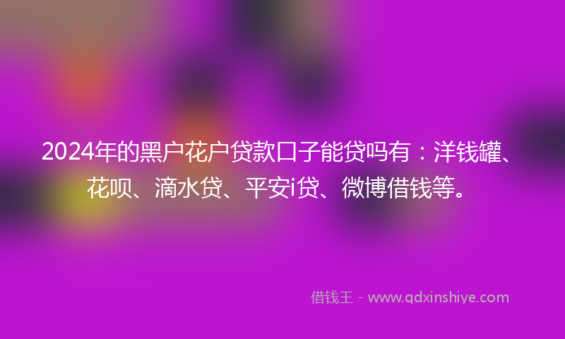 2024年的黑户花户贷款口子能贷吗有：洋钱罐、花呗、滴水贷、平安i贷、微博借钱等。