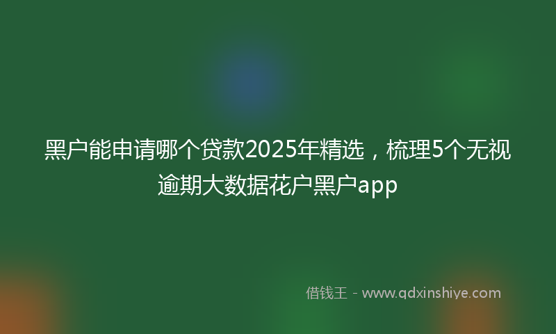 黑户能申请哪个贷款2025年精选，梳理5个无视逾期大数据花户黑户app