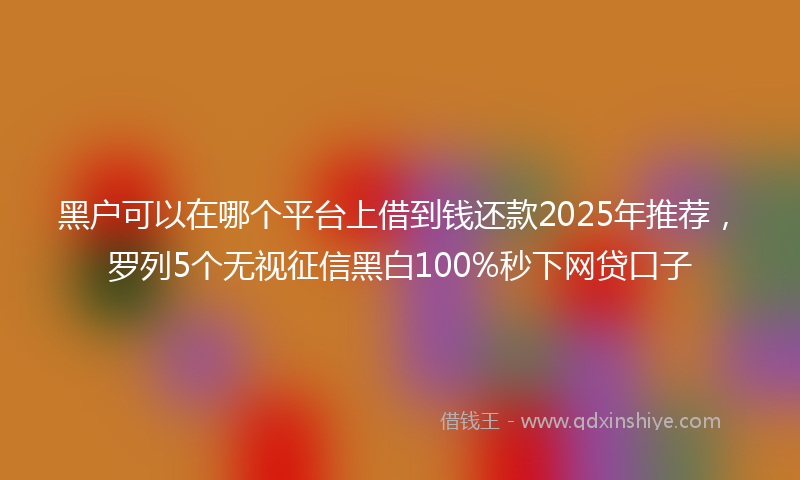 黑户可以在哪个平台上借到钱还款2025年推荐，罗列5个无视征信黑白100%秒下网贷口子