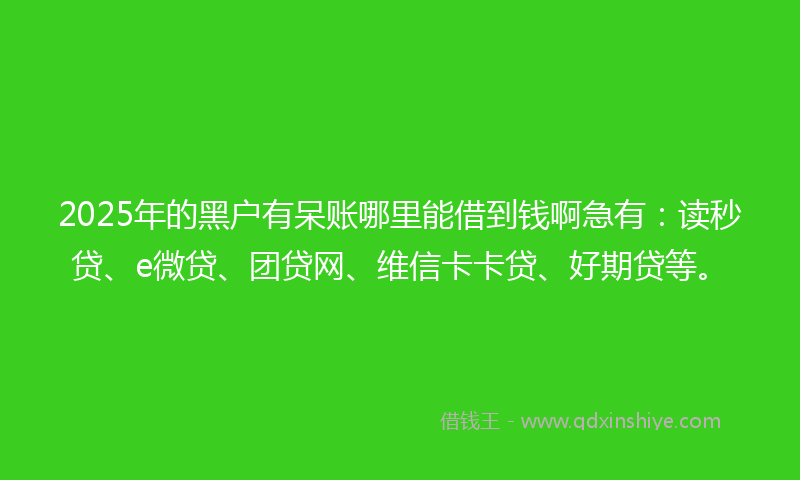 2025年的黑户有呆账哪里能借到钱啊急有：读秒贷、e微贷、团贷网、维信卡卡贷、好期贷等。
