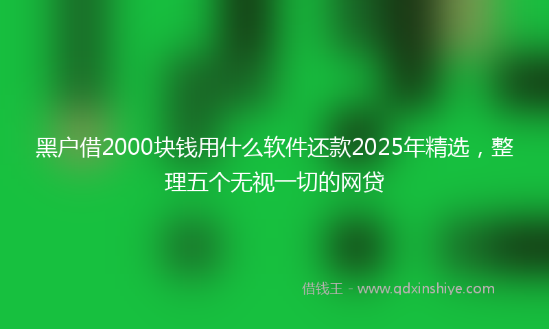 黑户借2000块钱用什么软件还款2025年精选，整理五个无视一切的网贷