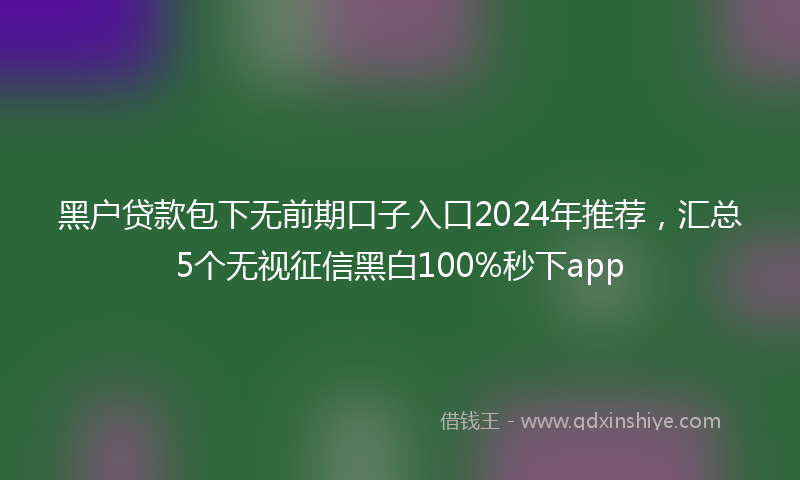 黑户贷款包下无前期口子入口2024年推荐，汇总5个无视征信黑白100%秒下app