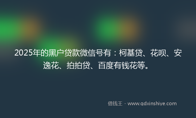 2025年的黑户贷款微信号有：柯基贷、花呗、安逸花、拍拍贷、百度有钱花等。