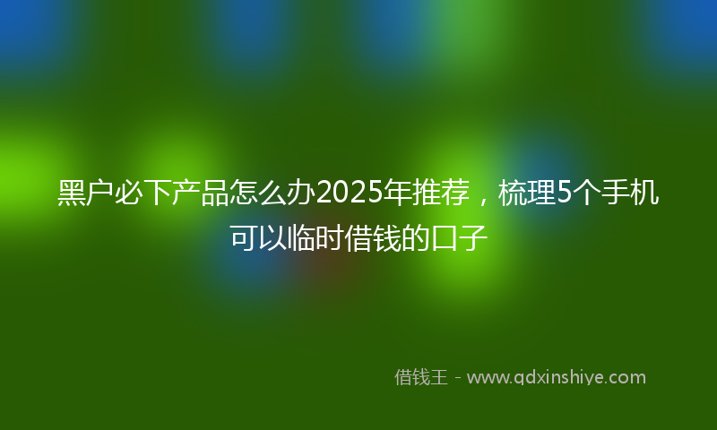 黑户必下产品怎么办2025年推荐，梳理5个手机可以临时借钱的口子
